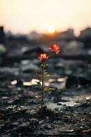 two red flowers growing out of the ground in the middle of a field generative ai photo