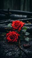 dos rojo rosas sentado en el suelo en el lluvia generativo ai foto