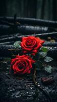 two red roses sitting on the ground in the rain generative ai photo