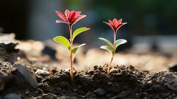 two small red flowers growing out of the ground generative ai photo