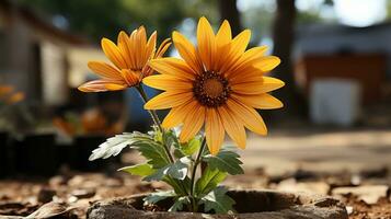 two yellow flowers growing in a pot on the ground generative ai photo