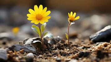 two yellow flowers growing out of the ground generative ai photo