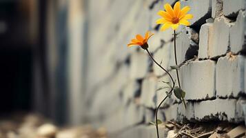 two yellow flowers growing out of a crack in a brick wall generative ai photo