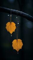 two yellow leaves hanging from a branch with water droplets generative ai photo