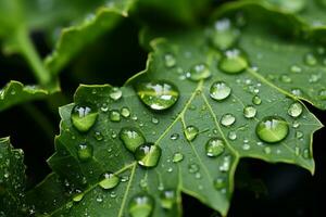 water droplets on a green leaf generative ai photo