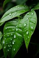 water droplets on a green leaf generative ai photo