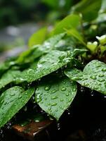 water droplets on green leaves generative ai photo