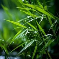 water droplets on the leaves of a bamboo plant generative ai photo