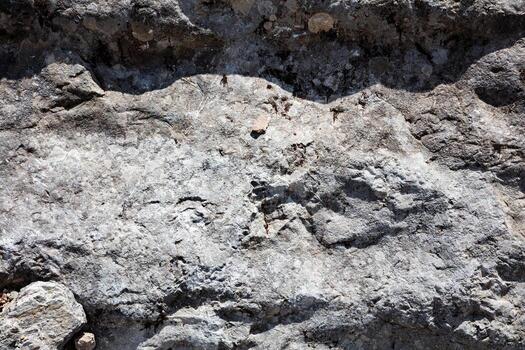 Stone abstract texture. Surface grunge backdrop. Dirty effect pattern. Material background. photo