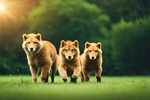 Tres marrón perros corriendo en el césped. generado por ai foto