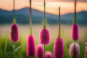 pink flowers in the grass at sunset. AI-Generated photo