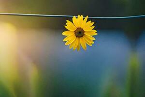 yellow flower on a wire. AI-Generated photo