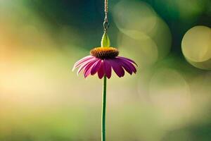 a pink flower hanging from a string. AI-Generated photo