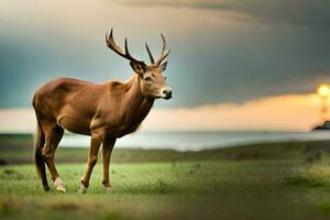 a deer stands in the grass on a cloudy day. AI-Generated photo