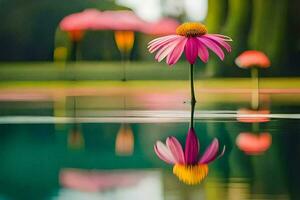 a pink flower is standing in the water. AI-Generated photo