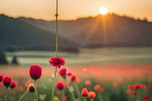 red poppies in a field at sunset. AI-Generated photo