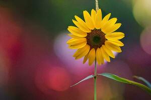 a single yellow sunflower is standing in front of a blurred background. AI-Generated photo