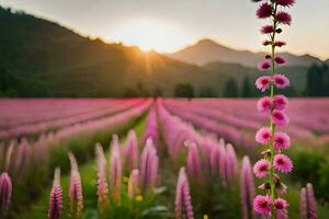 el Dom sube terminado un campo de rosado flores generado por ai foto