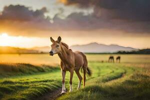 a horse walking on a path in the sunset. AI-Generated photo