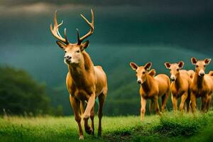 a group of deer running in the field. AI-Generated photo