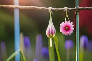 two pink flowers hanging from a wire fence. AI-Generated photo