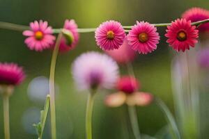 pink flowers are growing in a field. AI-Generated photo