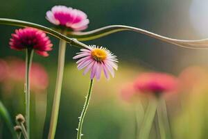 foto fondo de pantalla el sol, flores, el césped, el campo, el campo, el campo,. generado por ai