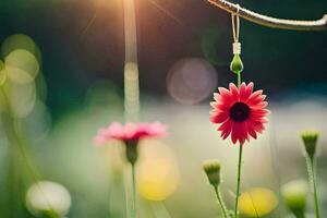 a red flower hanging from a branch in the sun. AI-Generated photo