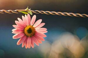 a pink flower is hanging from a wire. AI-Generated photo