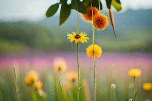 amarillo flores en un campo con púrpura y amarillo flores generado por ai foto