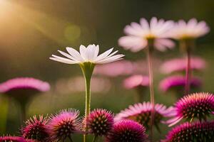 un campo de rosado flores con el Dom brillante a través de. generado por ai foto