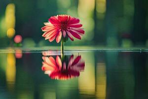 a single red flower is standing in the water. AI-Generated photo