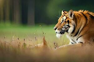 a tiger sitting in the grass with its head turned to the side. AI-Generated photo
