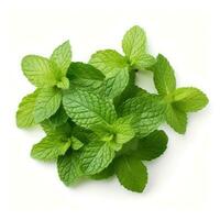 Mint leaf on white background. Fresh raw mint leaves isolated. Full depth of field. AI Generated photo