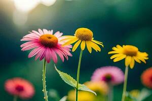 three bright yellow flowers in a field. AI-Generated photo