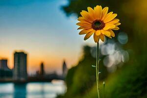 a single yellow flower stands in front of a city skyline. AI-Generated photo