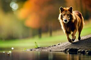 un marrón perro corriendo a lo largo el apuntalar de un lago. generado por ai foto