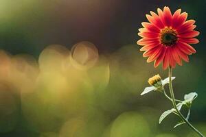 a single red flower is standing in front of a green background. AI-Generated photo
