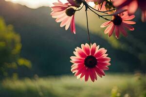 pink flowers hanging from a branch in the sun. AI-Generated photo