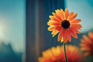 orange flower in front of a window with sun shining. AI-Generated photo