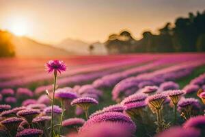 a field of purple flowers at sunset. AI-Generated photo