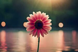 a single pink flower stands in front of the water. AI-Generated photo