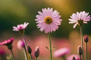 pink flowers in a field with a blurry background. AI-Generated photo