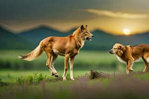 two dogs are standing in a field at sunset. AI-Generated photo