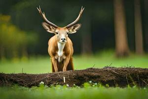 a deer with large horns standing in the grass. AI-Generated photo