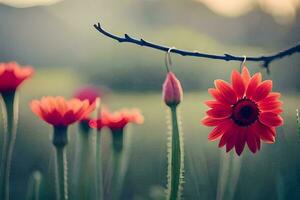 red flowers hanging from a branch in a field. AI-Generated photo