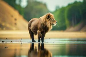 un león en pie en el agua con sus reflexión. generado por ai foto