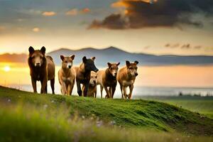 un grupo de caballos caminando en un colina a puesta de sol. generado por ai foto