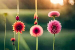 flowers in the garden, flowers, the sun, nature, flowers, the garden, h. AI-Generated photo