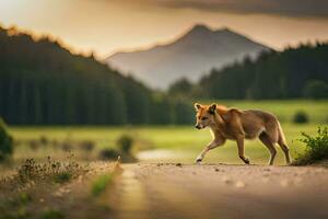 un perro caminando a través de un la carretera en el medio de un campo. generado por ai foto